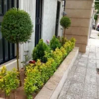 باغبانی وهرسکاری کوددهی بیل زنی مهر فاکتور ضمانت|خدمات باغبانی و درختکاری|تهران, تجریش|دیوار