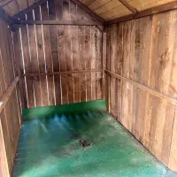 قفس|لوازم جانبی حیوانات|بم, |دیوار