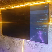 تلویزیون اسنوا