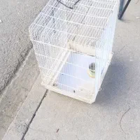 قفس خوب ودرجه یک|پرنده|بانه, |دیوار