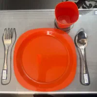 مادر یار و مراقب کودکان اتیسم