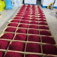 زرشک امسالی (پخش عمده)