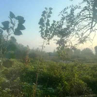 قطعه زمین ۲۳۰متری فروشی