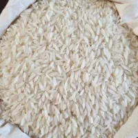 برنج طارم هاشمی (کشاورز)|خوردنی و آشامیدنی|قائمشهر, |دیوار