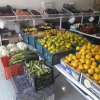 کارگر برای میوه فروشی