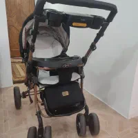 کالسکه دلیجان بنیتا|کالسکه و لوازم جانبی|بندر انزلی, جهانگانی|دیوار