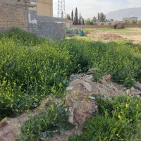 زمین مسنی شده شهرک گچی