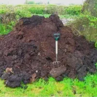 کود حیوانی پهن سوخته