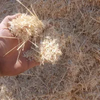 چاپر،یونجه کاه‌گندم‌لوبیا، چاپر بسته بندی|لوازم جانبی حیوانات|اصفهان, دارک|دیوار