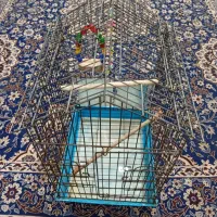 2تاقفس پرنده یدونه نوویکی استفاده شده|لوازم جانبی حیوانات|کیش, |دیوار