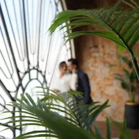 عکاسی و فیلمبرداری مراسم عقد بله برون تولد|خدمات پذیرایی، مراسم|رباطکریم, رباطکریم|دیوار