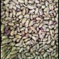 لوبیا|خوردنی و آشامیدنی|شیراز, شهرک برق|دیوار