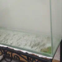 اکواریوم شیشه خم|ماهی|خرمشهر, |دیوار