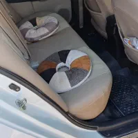 2910000000|خودرو سواری و وانت|اهواز, گلستان|دیوار