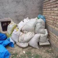 کوداصل کبوتر