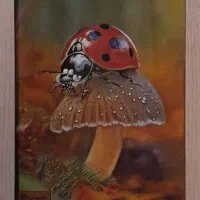 تابلو کفشدوزک و قارچ .