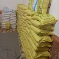 برنج عنبر بو  دو نمونه و نیمدانه موجود است