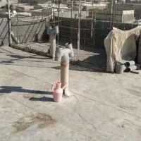 کفتر کاشونی زینتی تهرونی قفس کفتر