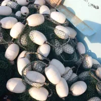 تورماهیگیری