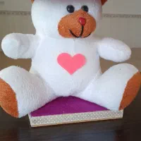 چراغ خواب|ریسه و چراغ تزئینی|ملایر, |دیوار