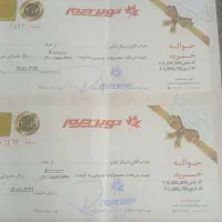 کارت خرید نوین چرم