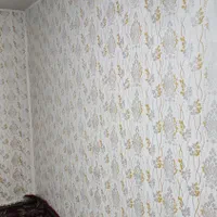 نقاش ساختمان رنگ آمیزی خانه طرح کاغذ دیواری|خدمات پیشه و مهارت|تبریز, |دیوار