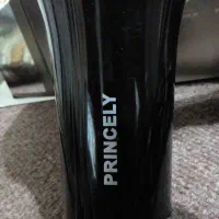 PRlCELY سشوار|آرایشی، بهداشتی، درمانی|رشت, جانبازان|دیوار