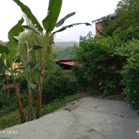 اجاره ویلا دو خوابه و تک خوابه جنگلی ویو دار|اجارهٔ کوتاه‌مدت ویلا و باغ|چالوس, |دیوار