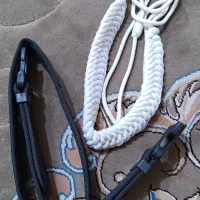واکسیل،کمربند
