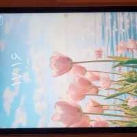 تبلت ipad mini 3|تبلت|شیراز, شیمی گیاه|دیوار