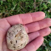 سنگ قیمتی|جواهرات|گنبد کاووس, |دیوار