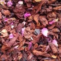 انواع خشکبار