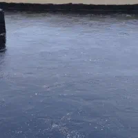 اجرای ونصب ایزوگام قیرگونی وآسفالت|خدمات پیشه و مهارت|تهران, ابوذر|دیوار