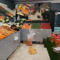 پالت میوه ترازو یخچال