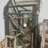 قفس پرنده کاملا چوبی