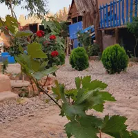 بومگردی خانه عباسی