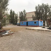 کانکس