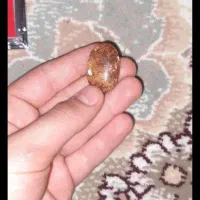 سنگ شجر