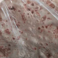 نان خشک محلی باکیفیت عالی.بدون جوش شیرین|خوردنی و آشامیدنی|صباشهر, |دیوار