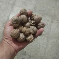 گردوی پر چرب و خوشمزه|خوردنی و آشامیدنی|میانه, |دیوار