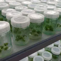 نیروی نظافتی خانم حتما زیر 40 سال و ترجیحا اتباع