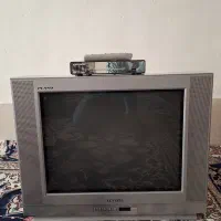 تلویزیون