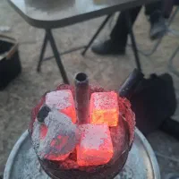 زغال حبه ای پسته