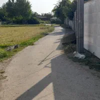 رهن خانه ویلایی|اجارهٔ خانه و ویلا|تولم شهر, |دیوار