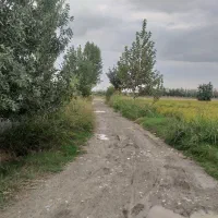مرغداری ۳۰۰۰۰قبل از کردکوی ۹۰۰۰مترزمین