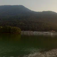 هدیه میلی|کارت هدیه و تخفیف|اصفهان, شاهد|دیوار