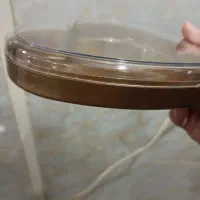 ظرف کریستالی طلایی مارک کوهسار|ظروف نگهدارنده، پلاستیکی، یک‌بارمصرف|اصفهان, عطار نیشابوری|دیوار