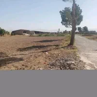 فروش گاوداری شیری۲هکتار پروانه۱۵۰راس چاه آب صفادشت|فروش دفتر صنعتی، کشاورزی، تجاری|صفادشت, |دیوار