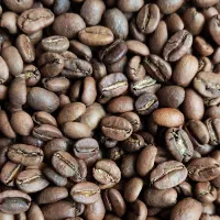 فروش دانه قهوه ربوستا و عربیکا به قیمت عمده