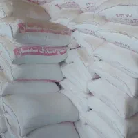 گچ سفید صدف سمنان